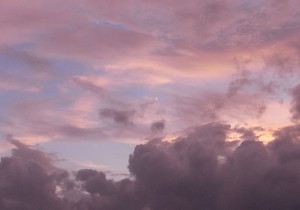 _0032705