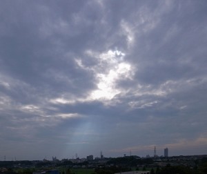 _0032799