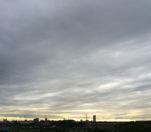 IMG_5832