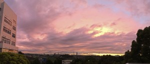 IMG_5833