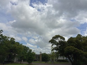 IMG_6093