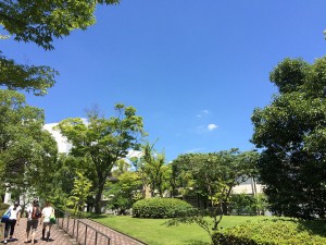 IMG_6143