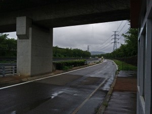 IMG_6169