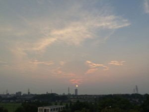 IMG_6401