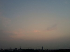 IMG_6422