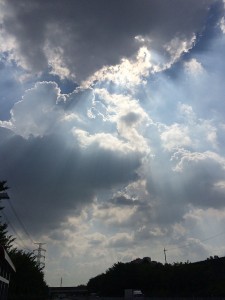 IMG_6440