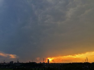 IMG_6582