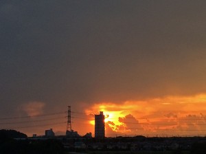 IMG_6583