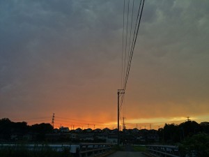 IMG_6617
