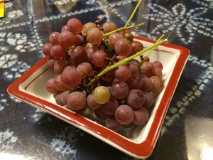 IMG_6619