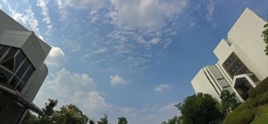 IMG_6623