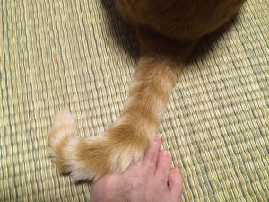 IMG_6807