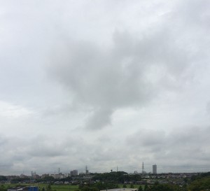 IMG_6828