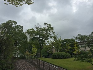 IMG_6830