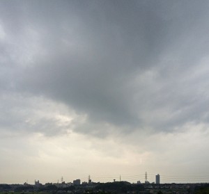IMG_6842