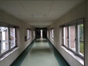 IMG_7028