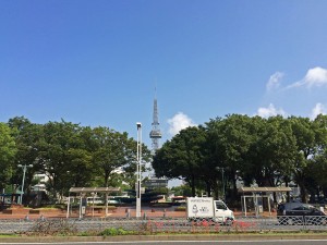 IMG_7247