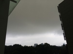 IMG_7305