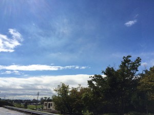IMG_7317