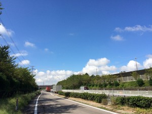 IMG_7351