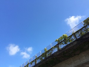 IMG_7352