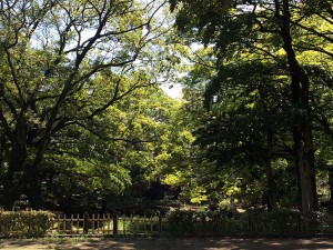 IMG_7359
