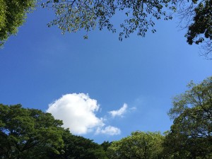 IMG_7360