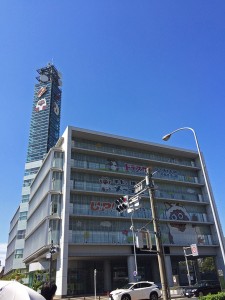 IMG_7517