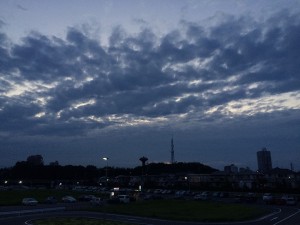IMG_7537