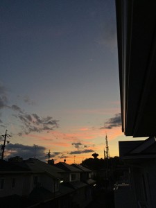IMG_7545