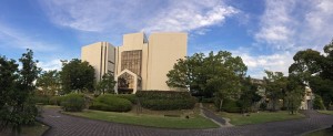 IMG_7551