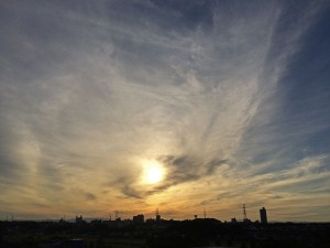 IMG_7553