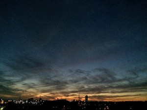 IMG_7559