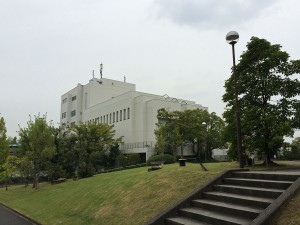 IMG_7570