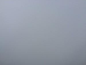 IMG_7576