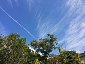IMG_7655