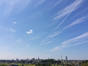 IMG_7656