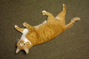 DSC00008