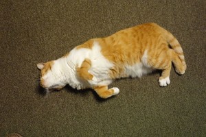 DSC00025