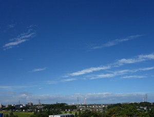 DSC00031