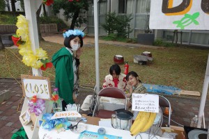 DSC00333