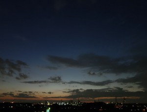 DSC00460