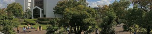 DSC00627