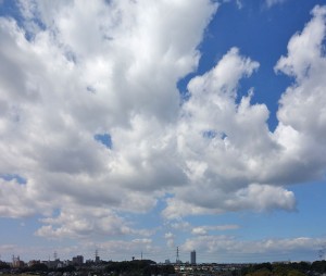 DSC00637