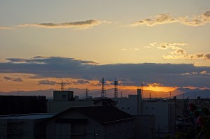 DSC00653