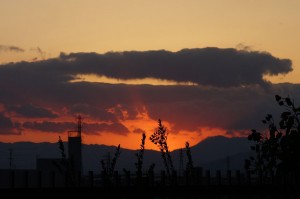 DSC00680