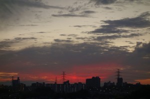 DSC00704
