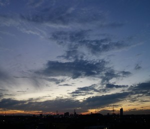 DSC00711