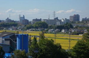 DSC00746
