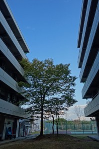 DSC00771